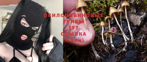 мескалин Балахна