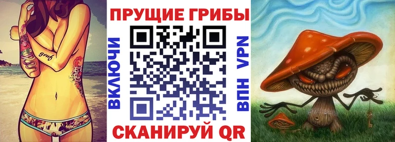 Псилоцибиновые грибы прущие грибы  как найти   Хвалынск 
